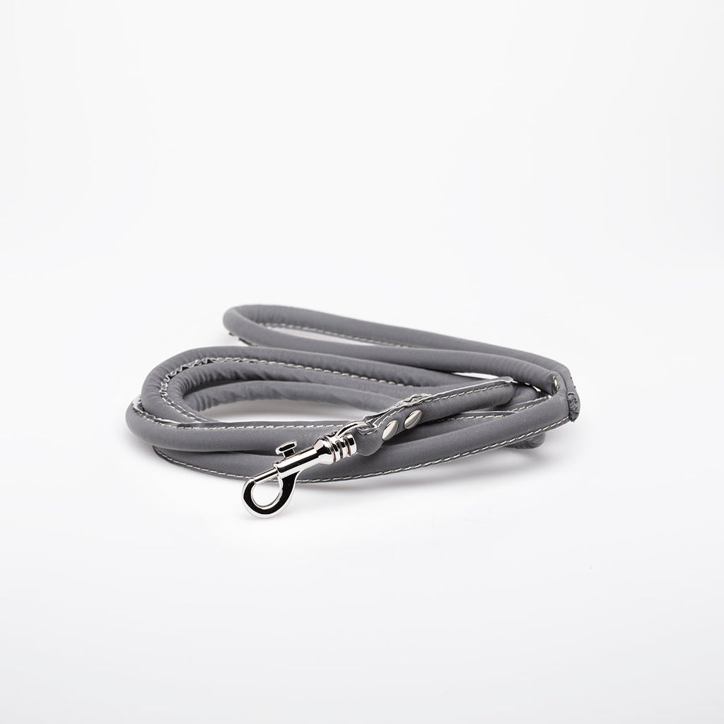 Reflective Silver Dog Lead