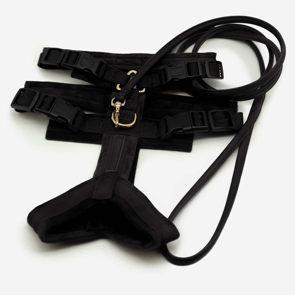 Black Y-Harness XS