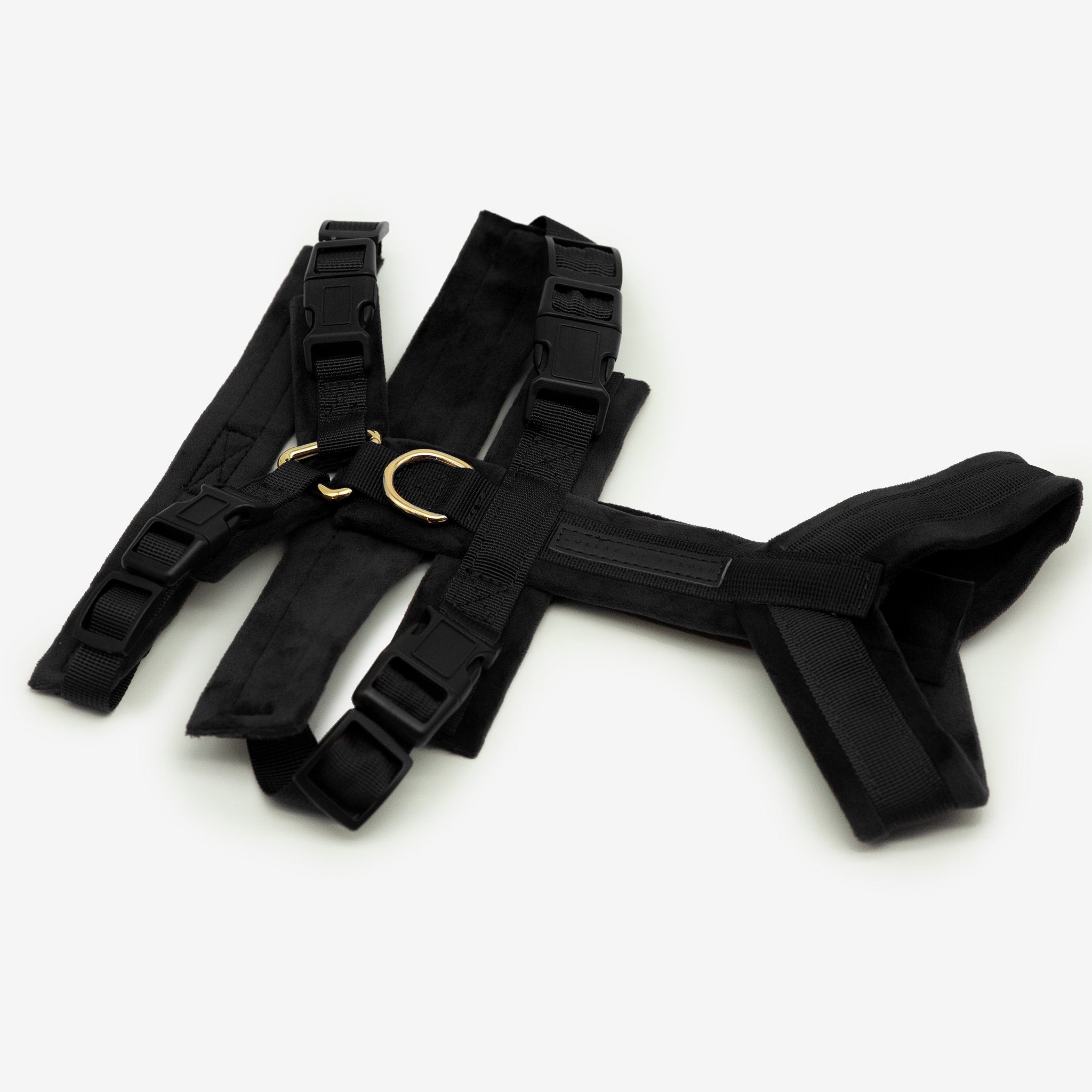 Black Y-Harness XS