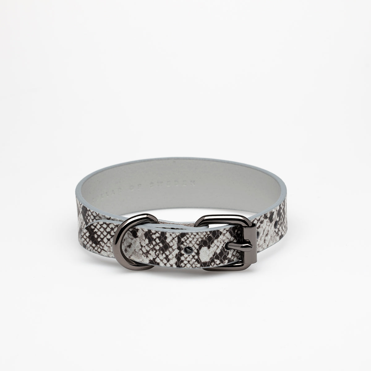 Snake Dog Collar Thin