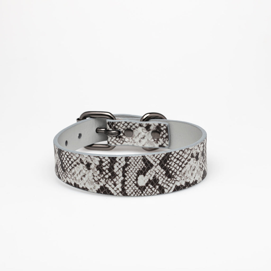 Snake Dog Collar Thin