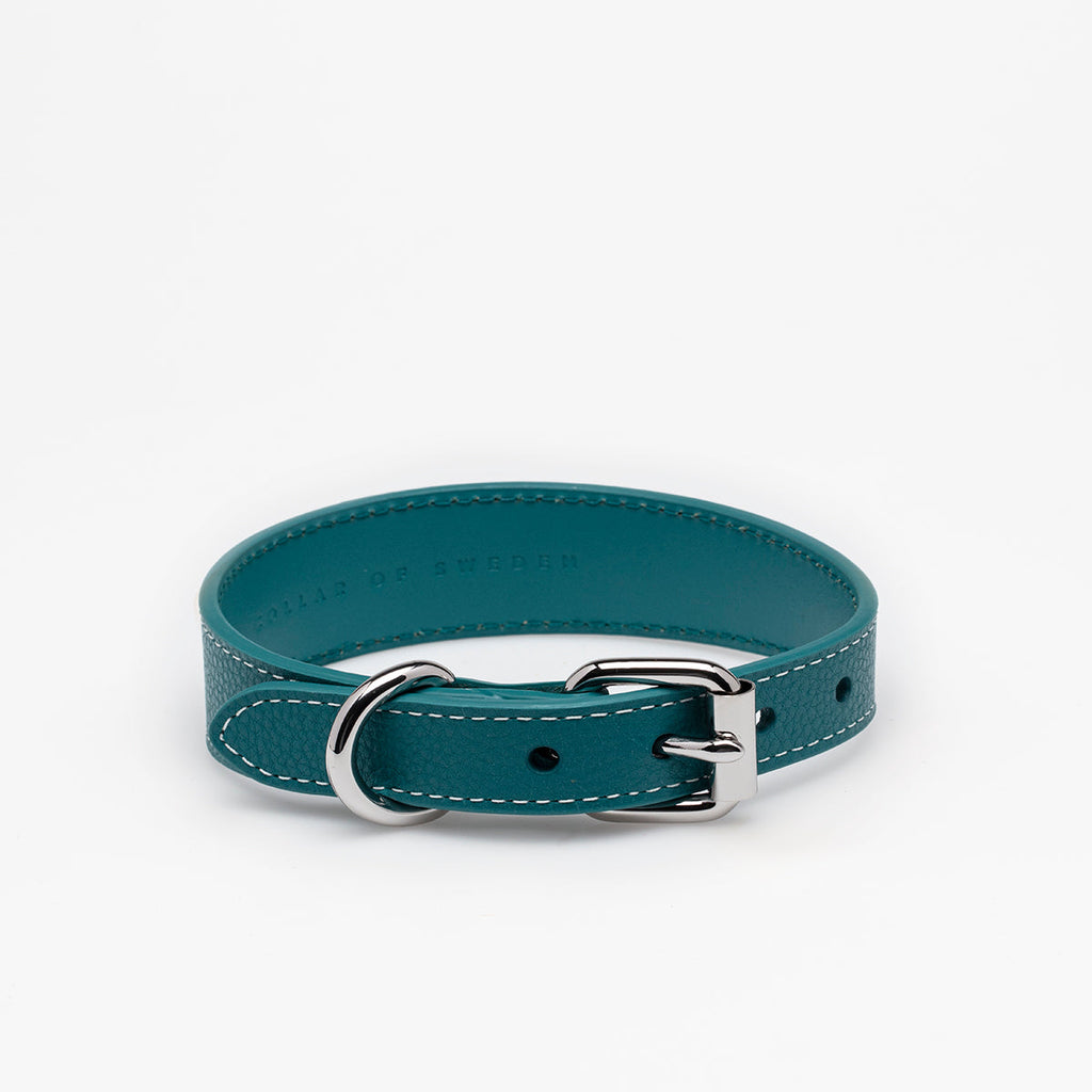 Turquoise Dog Collar Thin