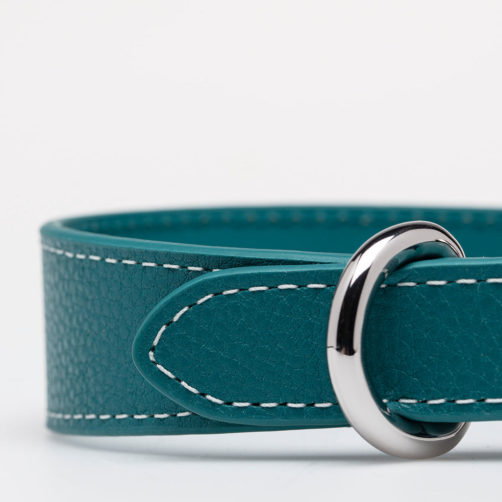 Turquoise Dog Collar Thin