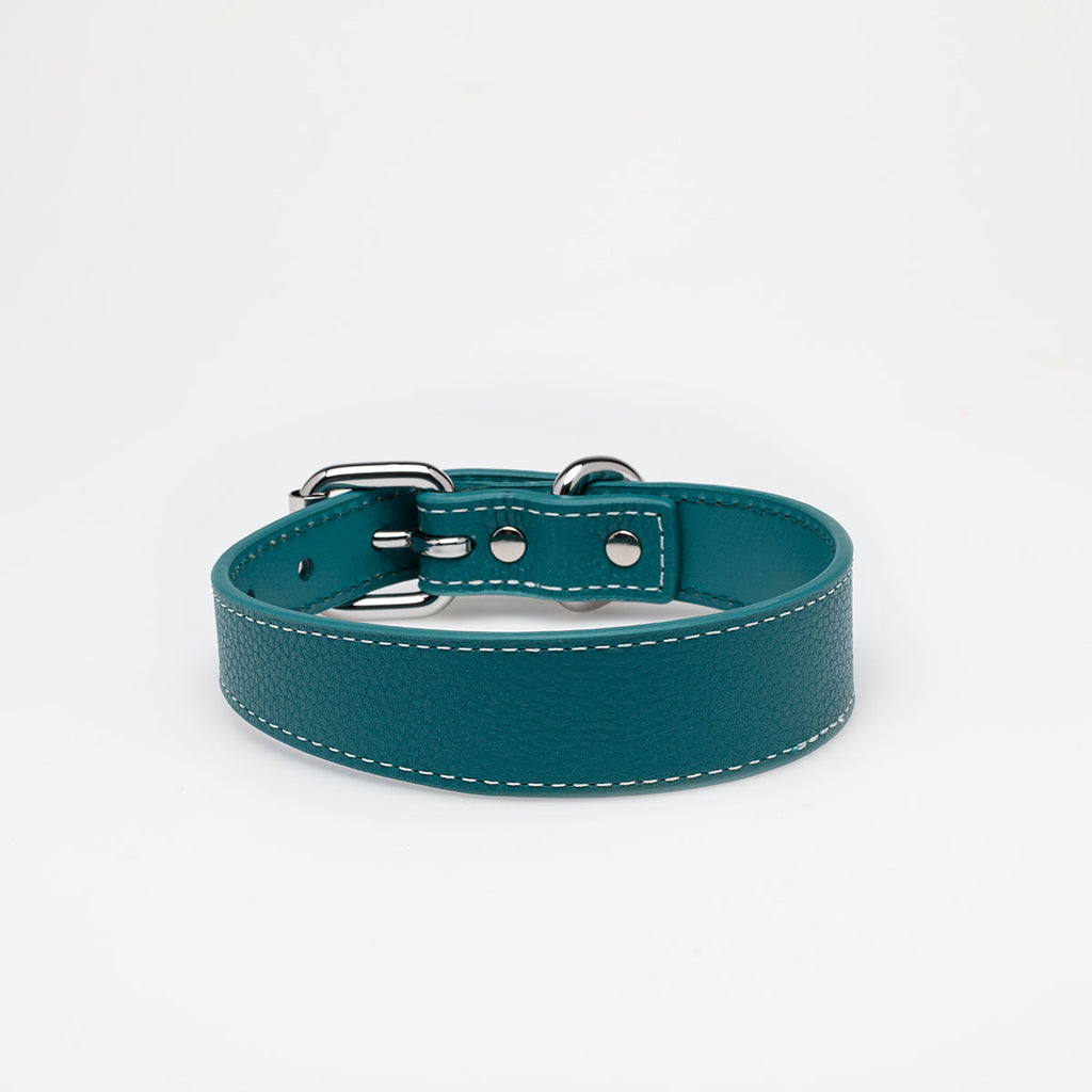 Turquoise Dog Collar Thin