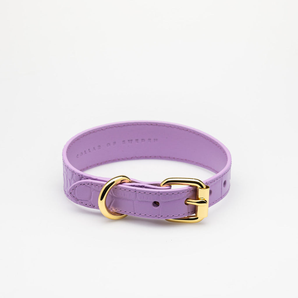 Violet Croco Dog Collar Thin