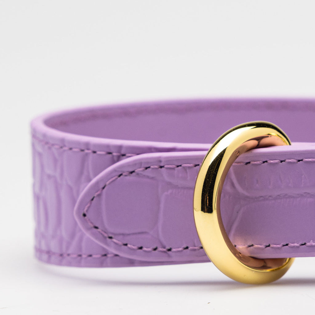 Violet Croco Dog Collar Thin