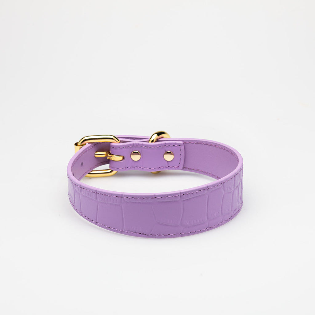 Violet Croco Dog Collar Thin