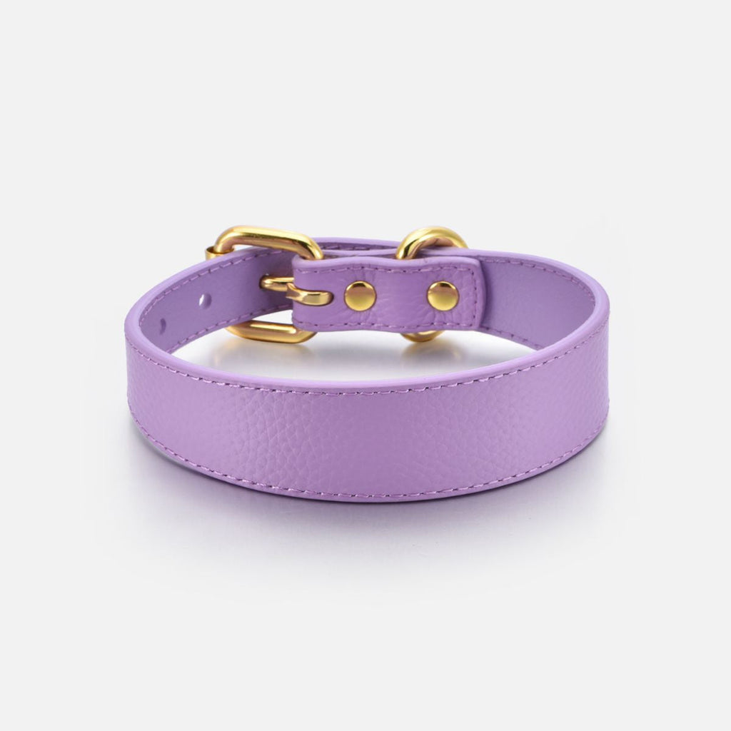 Violet Dog Collar Thin