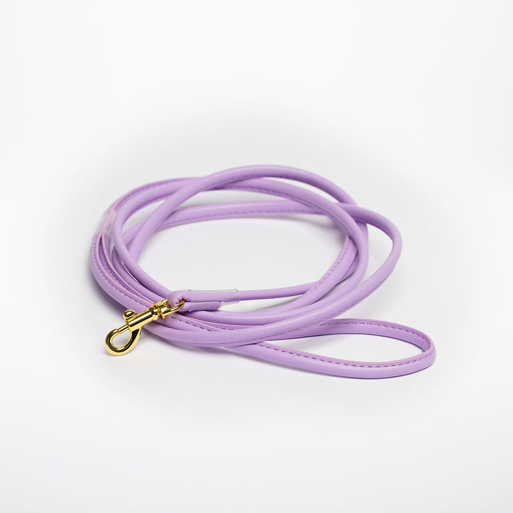 Violet Dog Lead