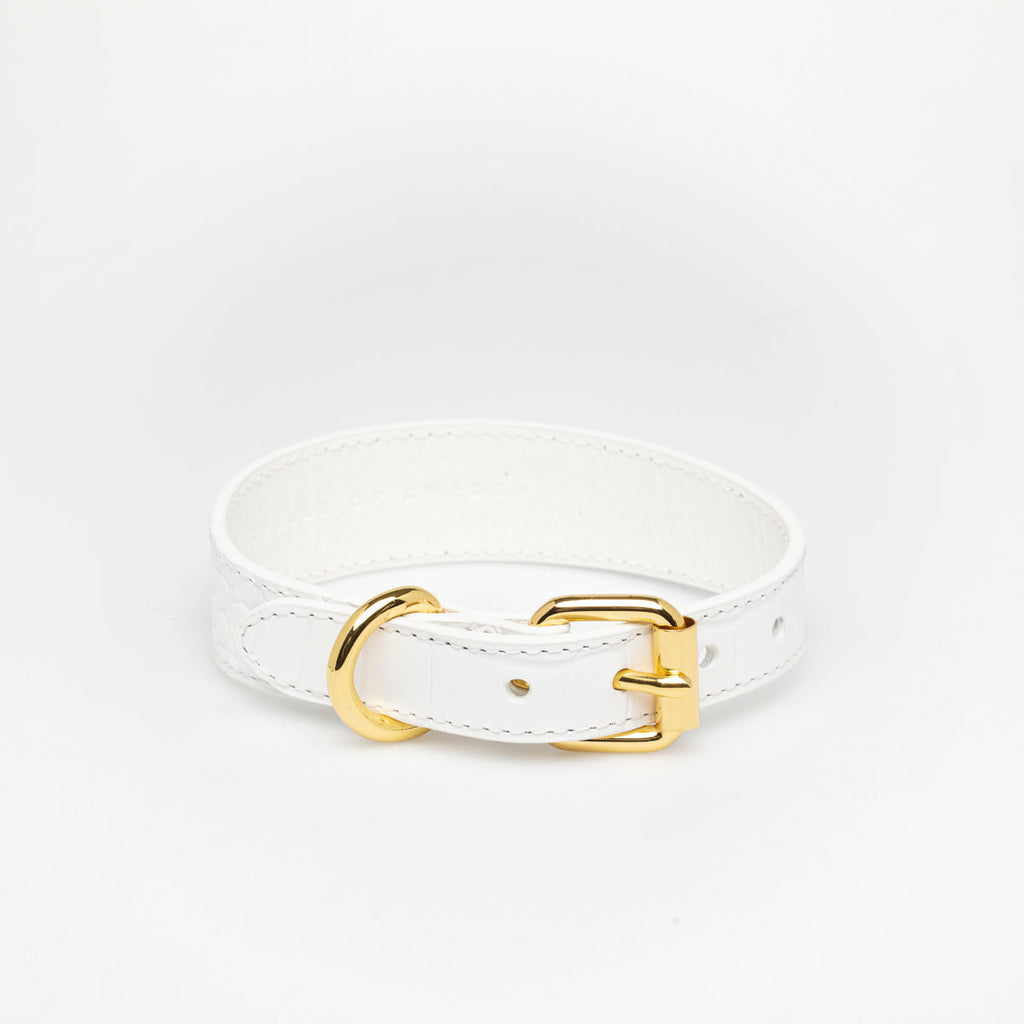 White Croco Dog Collar Thin