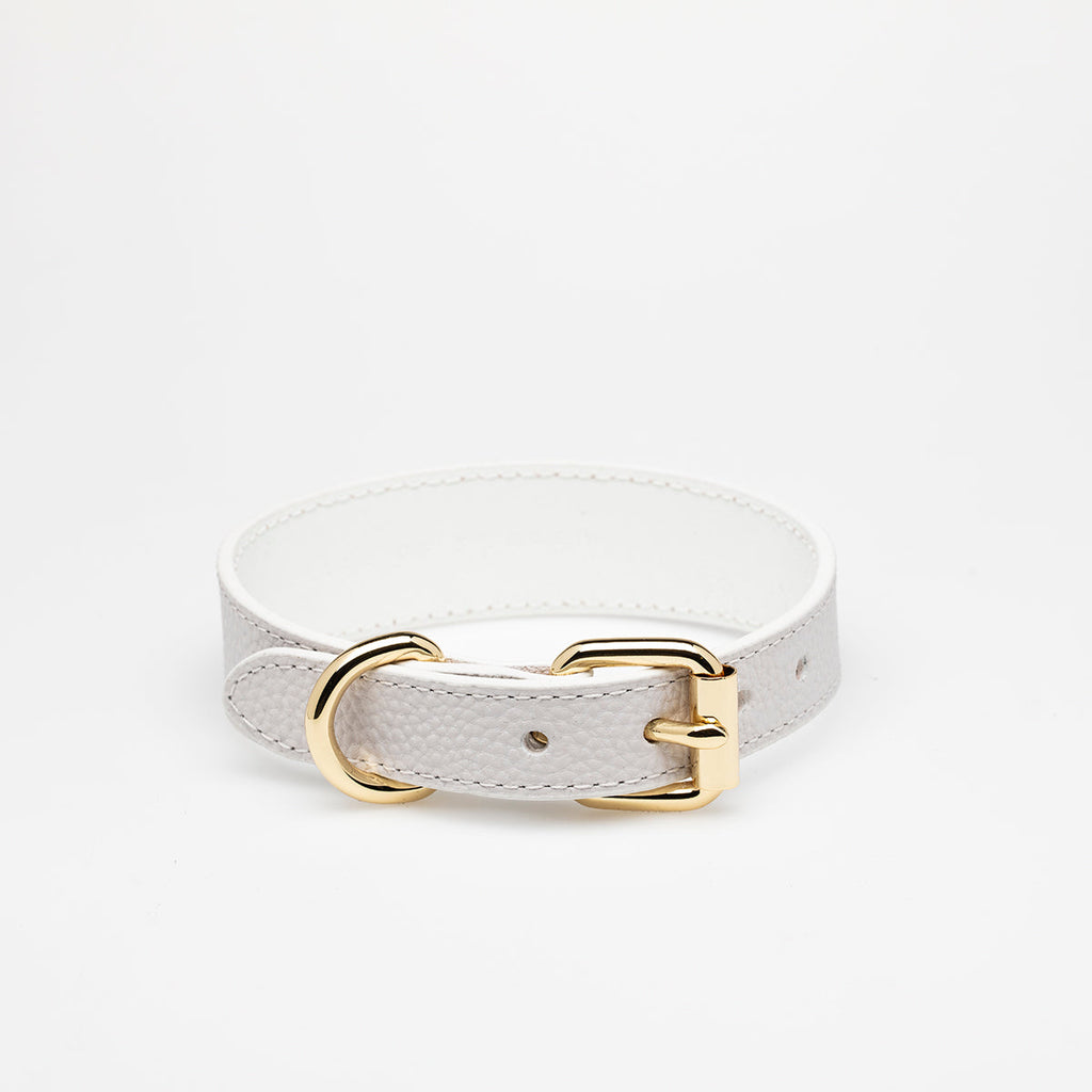 White Dog Collar Thin