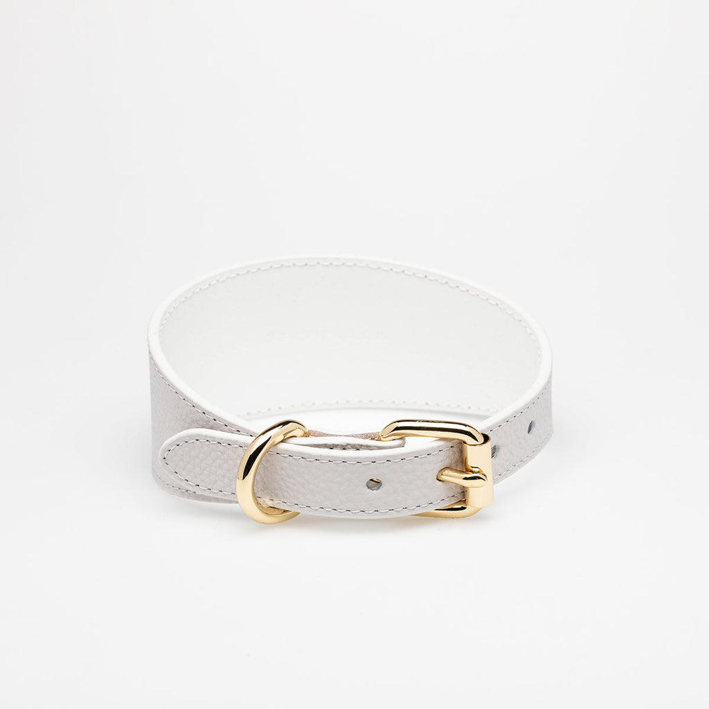 White Dog Collar Wide