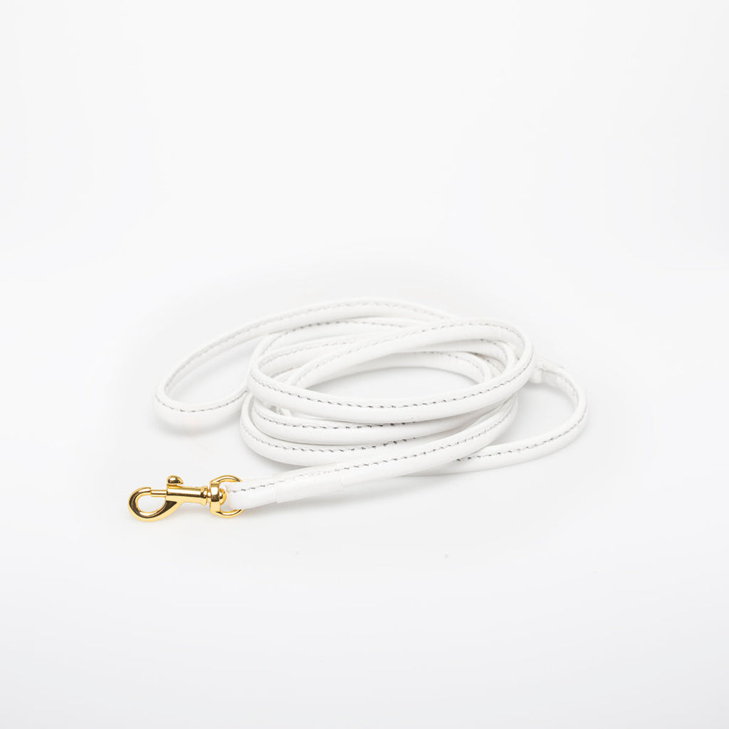 White Dog Lead